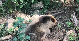 Just Some Random Places by Ash