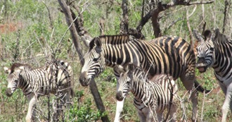 Favourite Places in the Southern Hemisphere