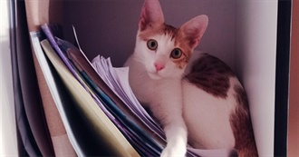 Books That Ylenia Has Read (March 2024)