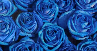 Which Flowers Have You Seen?