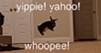 Meli&#39;s 66 Albums