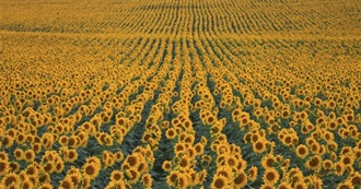 Locations in Literature: Grow Your Own Optimist!