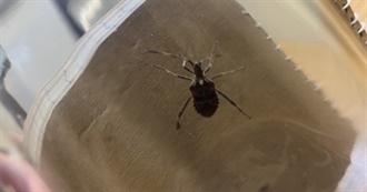 The Books Molly Has Read Recently