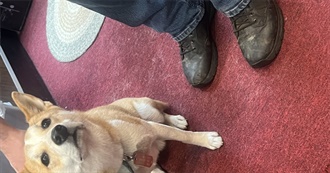 Epic Character From Snow White and the 7 Dwarf