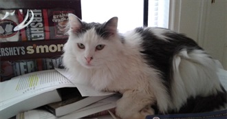 Books Emily Plans to Read in 2018