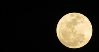 A Movie a Year From 1919 to 2024