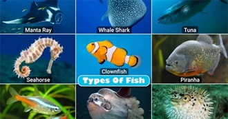 Fish Non-Fish ABC&#39;s