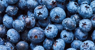 Blueberry Everything