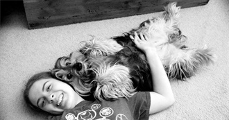 Celebrate Don&#39;t Walk Your Dog Day