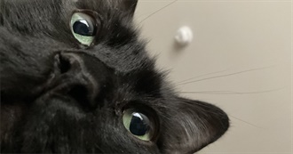 Scout&#39;s Top 40 Films