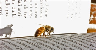 Beautiful Bee Books