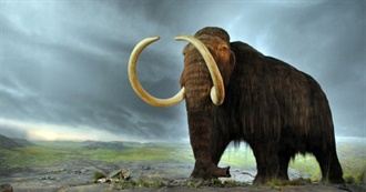 Peliculas Para La Mamut