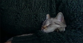 Lawnclown&#39;s Favourite Movies :)