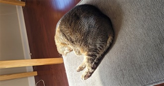 Beatrice&#39;s Movie Challenge