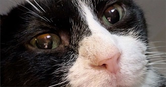 Eiffel&#39;s Top Albums