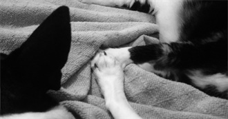 Lwnwrk Pities the Fool Who Hasn&#39;t Seen These Films