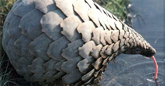 Natty&#39;s Bookshelf (June 2016)