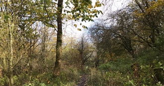 Places on Earth Beginning With L