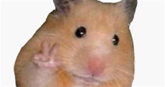 Oops. Guess These Are ACTUALLY the Favorite