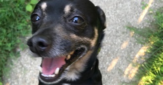 Rani&#39;s Top 100 Books &#128156;