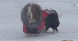 Mawissa&#39;s Top 100 Movies