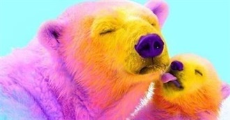 Sosy&#39;s Movie List