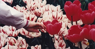 Jan&#39;s Travels in Europe