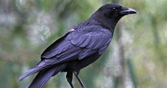 72 Cool Movies From 1994 That Are Turning 30 in 2024