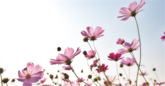 Christian Books (14)