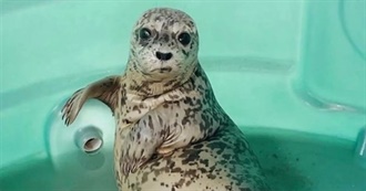 Hayley&#39;s Top 100 Movies