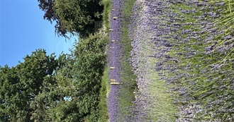 More July 25 Reading