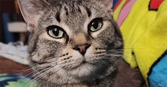 Alyssa&#39;s Movies!!!!