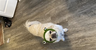 Mer&#39;s Top 100 TV Shows