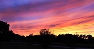 Aimee&#39;s Favorite Movies