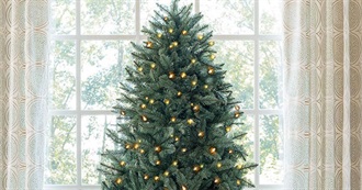 Foods for Christmas and New Years