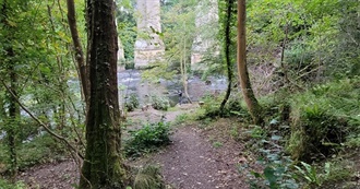 Ron&#39;s World of Dreams