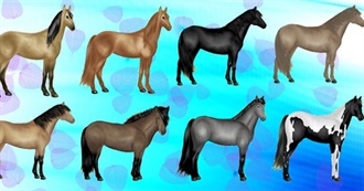Collection of Quarter Horses