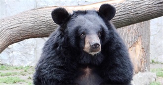 HK 100 Movies Tumblrrr