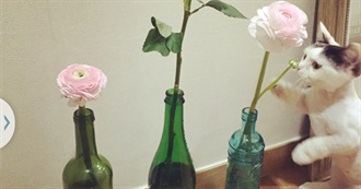 Korean Dramas You Have Watched