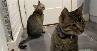 Jyyyyy&#39;s Top 100 Movies