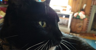 Ways BAB Deals With Anxiety