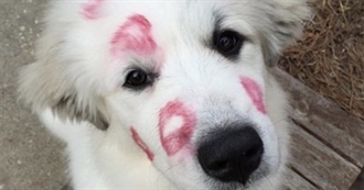 June&#39;s Fav Albums