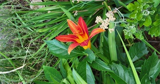 All the Movies I&#39;ve Watched in August 2025