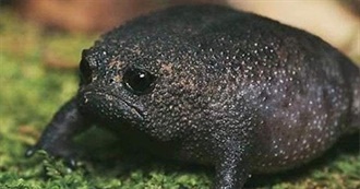 Nerdi&#39;s Favorite Movies