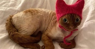 V&#39;s Favourite Films