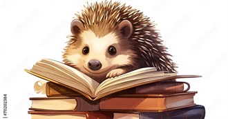 Shirley&#39;s 2024 Reading List