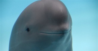 How Many of Avi&#39;s 100 Favorite Movies Have U Seen