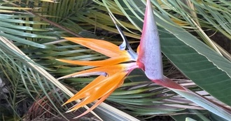 Reba Anne's Read in 2025