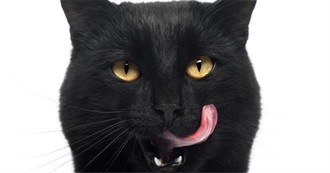 How Superstitious Are You?