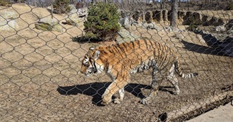 American Zoos AM Has Visited